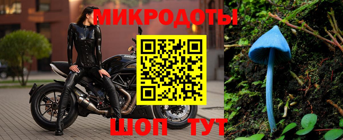 хочу наркоту  Вход с VPN  Псилоцибиновые грибы MAGIC MUSHROOMS  Зима  Галлюциногенные грибы Cubensis 