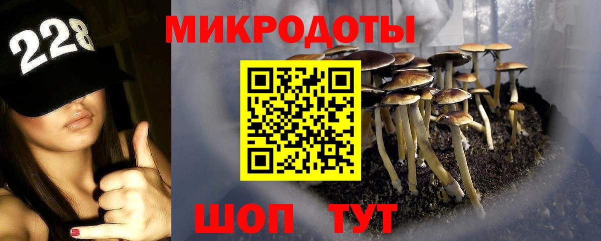 Псилоцибиновые грибы мицелий Зима