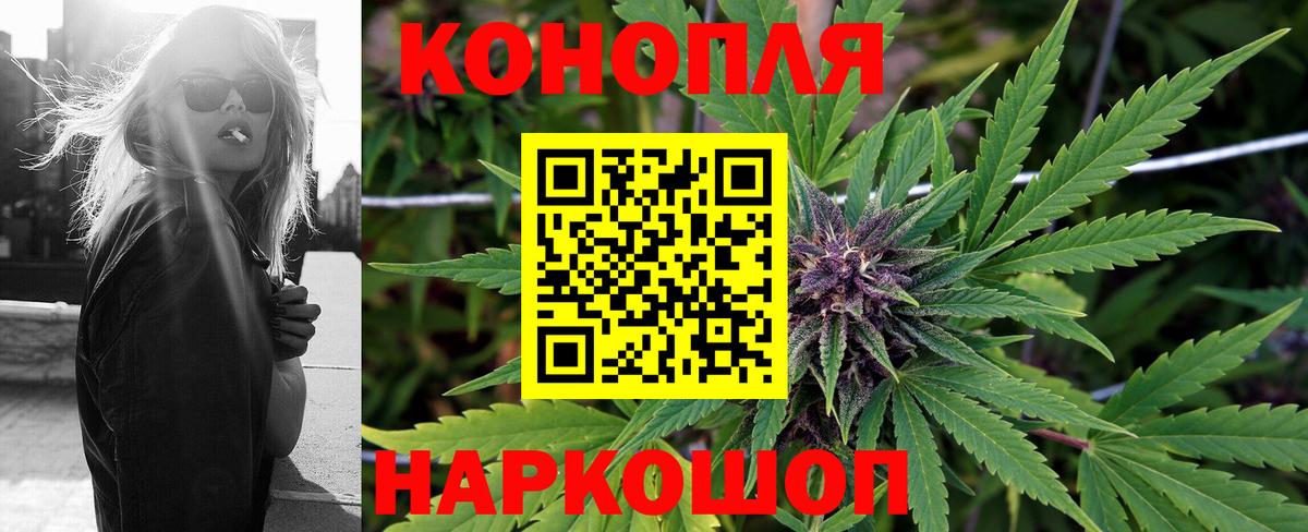 МАРИХУАНА гибрид  Канабис планчик  Зима  Бошки Шишки планчик  Бошки марихуана Ganja  Вход с VPN 